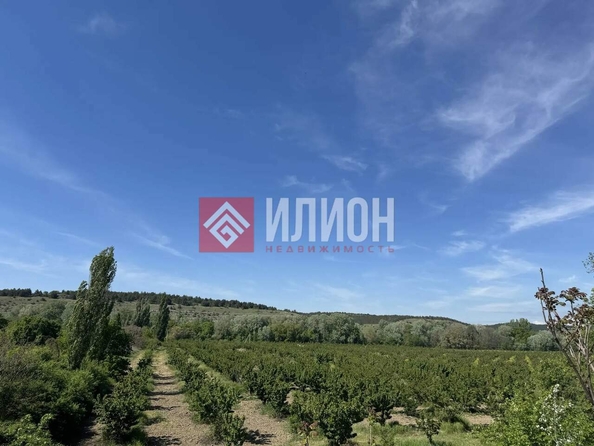 
  Продается земельный участок 5 соток. Фото 4.