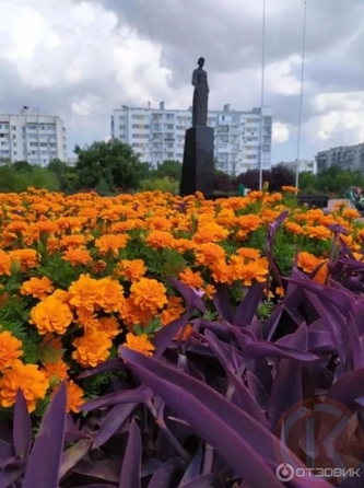 
  Продается 1-комн. квартира 52.5 м². Фото 13.