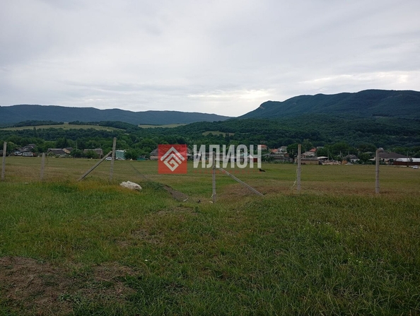 
  Продается земельный участок 35.9 соток. Фото 4.