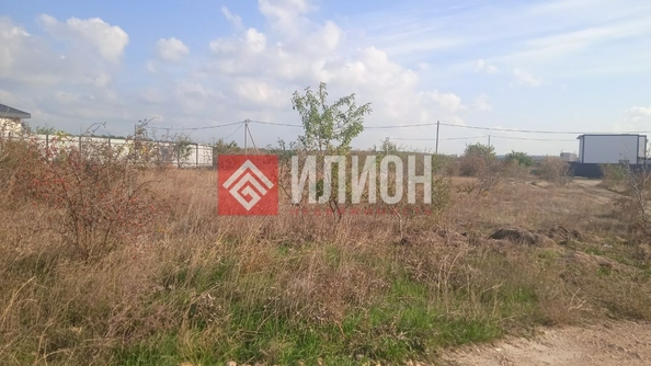 
  Продается земельный участок 5 соток. Фото 7.