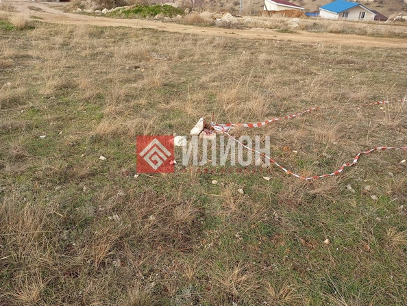 
  Продается земельный участок 5 соток. Фото 3.