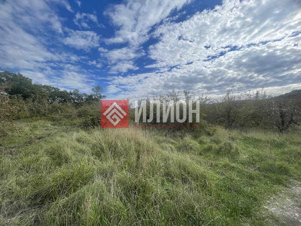 
  Продается земельный участок 6 соток. Фото 8.