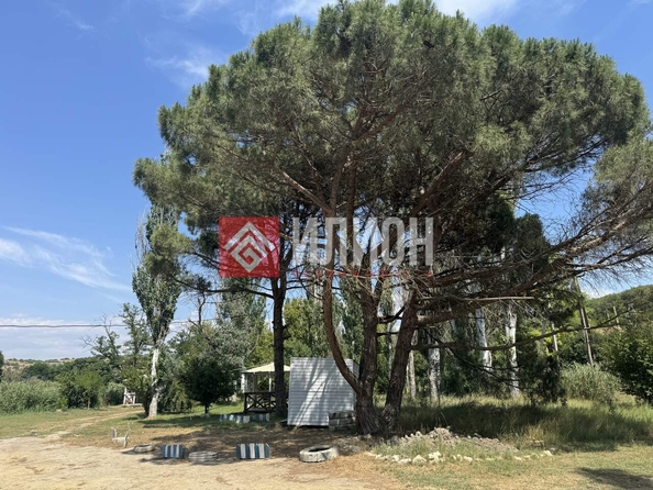 
  Продается земельный участок 6 соток. Фото 11.