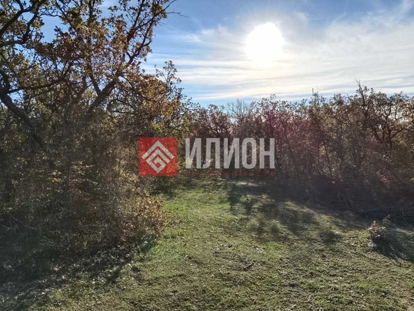 
  Продается земельный участок 10 соток. Фото 6.