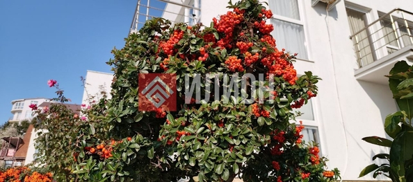 
  Продается земельный участок 8.5 соток. Фото 10.