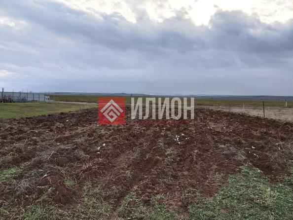 
  Продается земельный участок 8 соток. Фото 5.