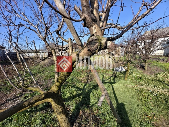 
  Продается земельный участок 7.8 соток. Фото 10.