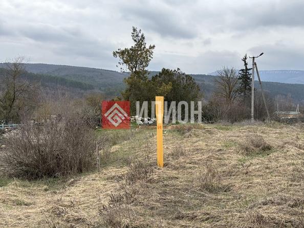 
  Продается земельный участок 8 соток. Фото 5.