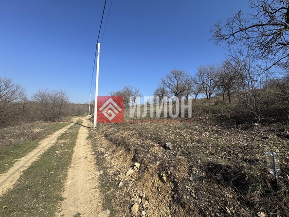 
  Продается земельный участок 8 соток. Фото 3.