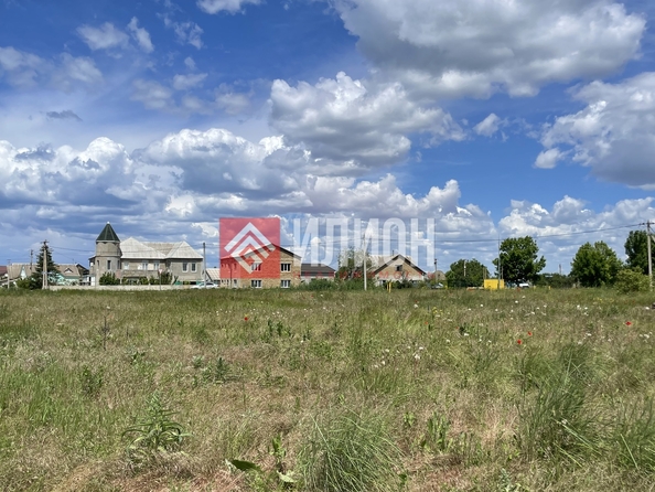 
  Продается земельный участок 8.3 соток. Фото 6.