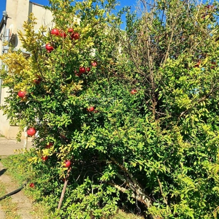 
  Продается дом 160 м². Фото 9.