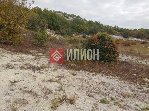 
  Продается земельный участок 25 соток. Фото 8.