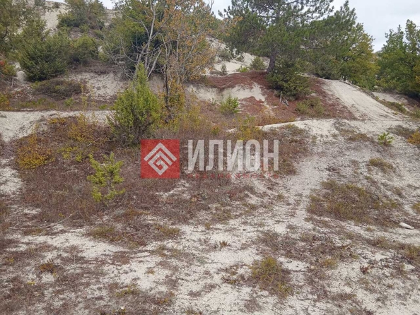 
  Продается земельный участок 25 соток. Фото 19.