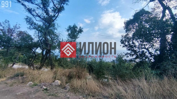 
  Продается земельный участок 15 соток. Фото 2.