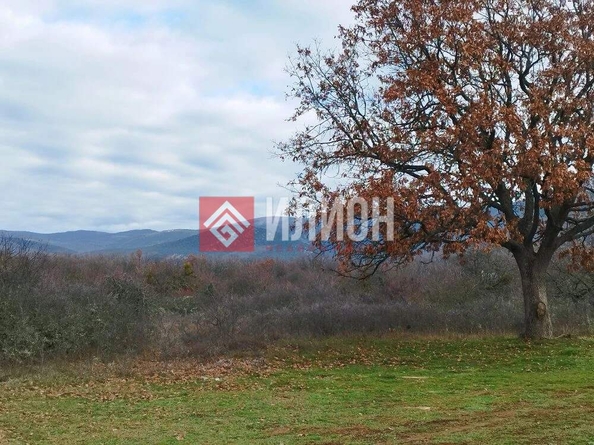 
  Продается земельный участок 10.5 соток. Фото 4.