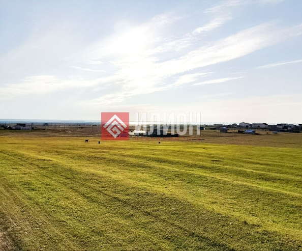 
  Продается земельный участок 60 соток. Фото 4.