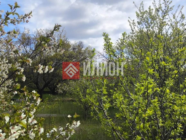 
  Продается земельный участок 8 соток. Фото 3.