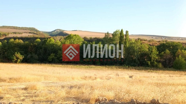 
  Продается земельный участок 271 сотка. Фото 2.