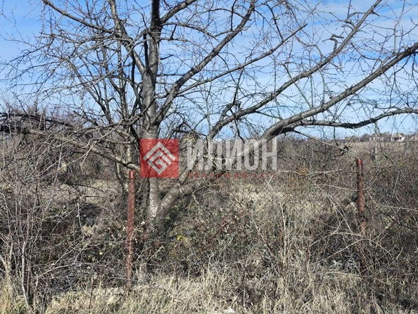 
  Продается земельный участок 7.8 соток. Фото 2.