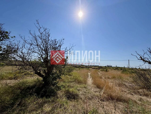 
  Продается земельный участок 6 соток. Фото 4.