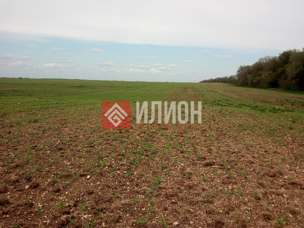 
  Продается земельный участок 1200 соток. Фото 1.