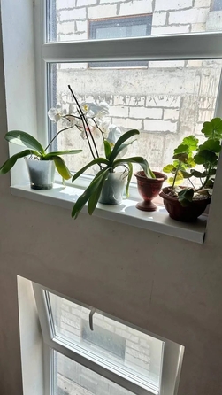 
  Продается 1-комн. квартира 30 м². Фото 20.