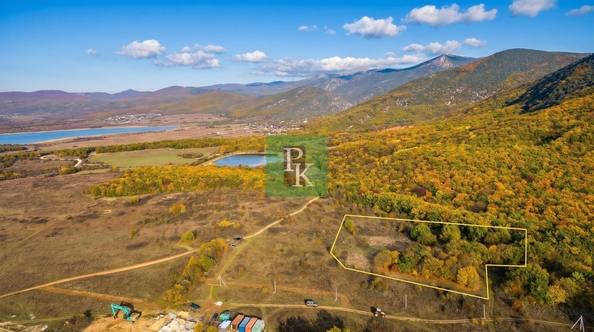 
  Продается земельный участок 54 сотки. Фото 4.