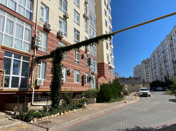 
  Сдается универсальное помещение 60.1 м². Фото 3.