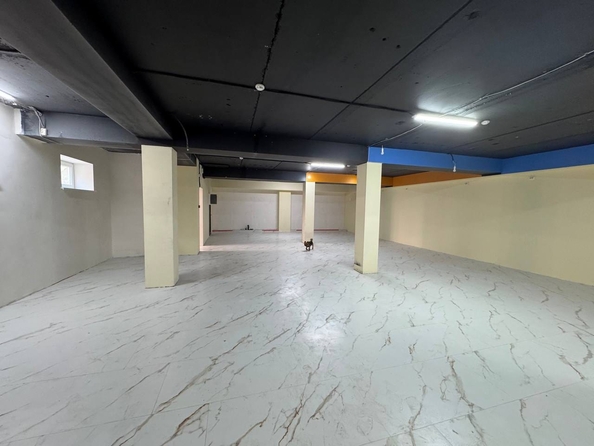 
  Сдается универсальное помещение 220 м². Фото 7.