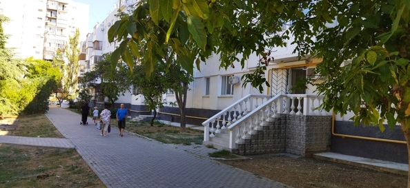 
  Сдается универсальное помещение 28 м². Фото 3.