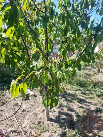 
  Продается дом 58 м². Фото 2.