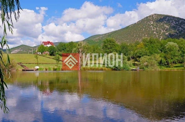 
  Продается земельный участок 50 соток. Фото 3.