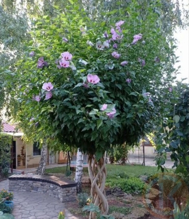 
  Продается дом 158 м². Фото 6.