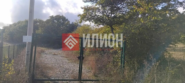 
  Продается земельный участок 20 соток. Фото 3.