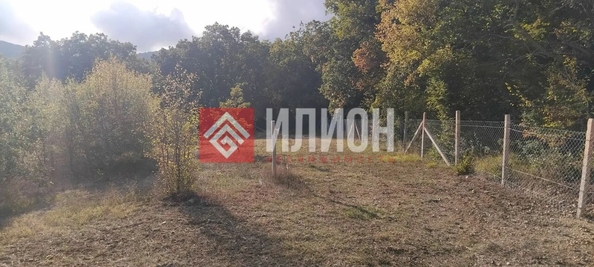 
  Продается земельный участок 20 соток. Фото 6.