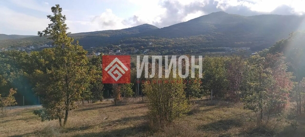 
  Продается земельный участок 20 соток. Фото 9.