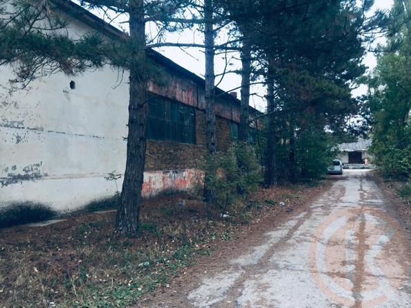 
  Продается универсальное помещение 1000 м². Фото 1.