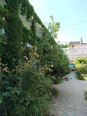 
  Продается апартамент 14 м². Фото 7.