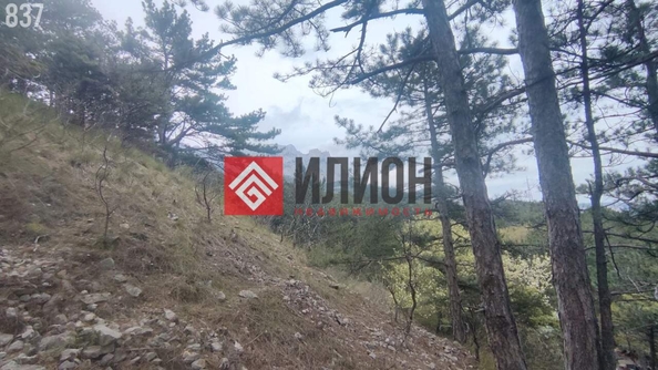 
  Продается  квартира 19 м². Фото 6.