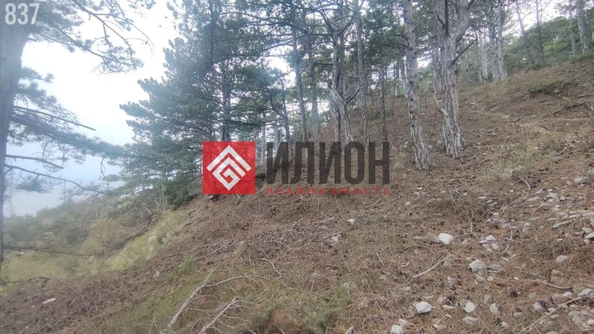 
  Продается  квартира 19 м². Фото 7.