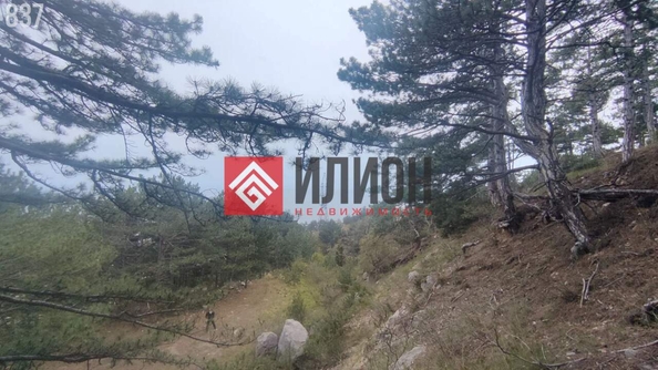 
  Продается  квартира 19 м². Фото 8.