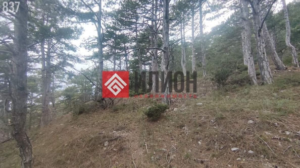 
  Продается  квартира 19 м². Фото 10.
