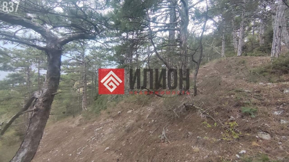 
  Продается  квартира 19 м². Фото 11.