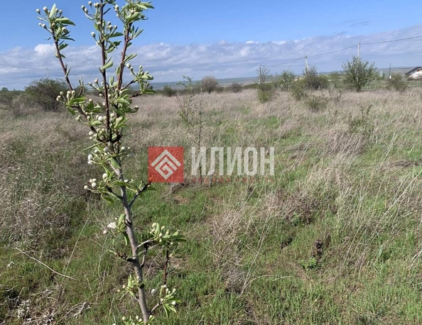 
  Продается земельный участок 5 соток. Фото 4.
