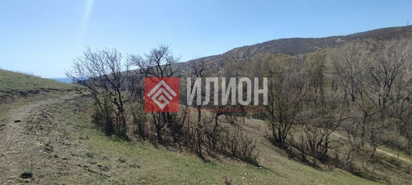 
  Продается земельный участок 8 соток. Фото 7.