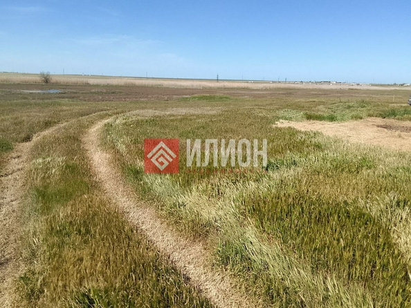 
  Продается земельный участок 10 соток. Фото 3.