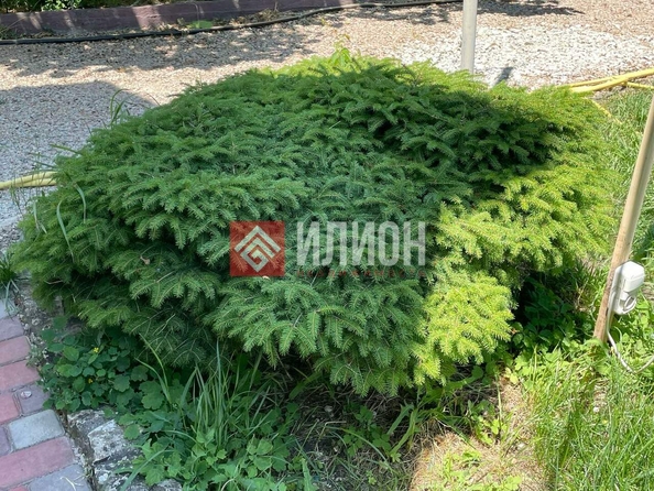 
  Продается гостиница 180 м². Фото 5.