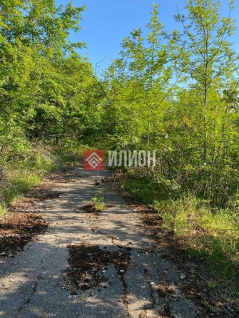 
  Продается земельный участок 25 соток. Фото 1.
