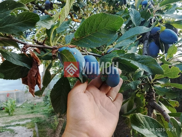 
  Продается дом 86 м². Фото 12.