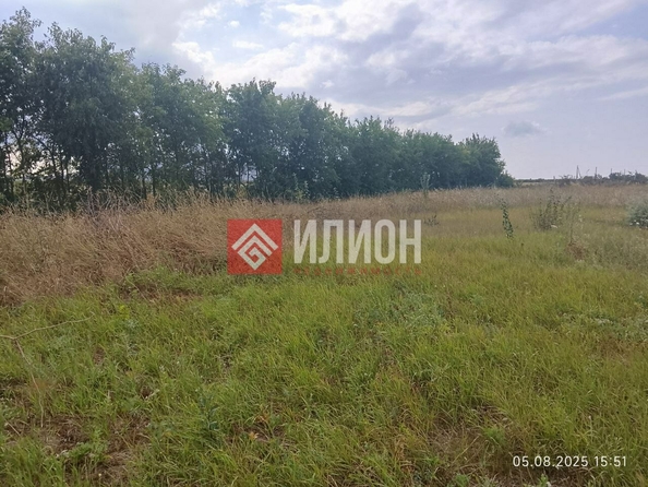 
  Продается земельный участок 50 соток. Фото 1.